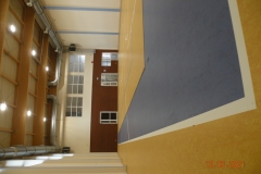 DSCN9906