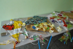 DSCN1656