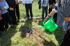 DSCN1680