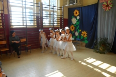 DSCN0950