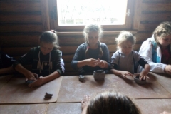 IMG-20190910-WA0026