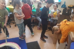 336427199_870272740733945_2813513965009343289_n