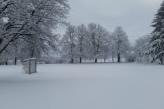 IMG-20190206-WA0012