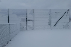 IMG-20190206-WA0014