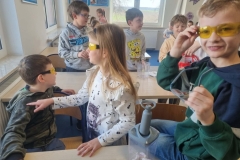 7135753a-36b0-4f77-968f-fe8a349ea5e2