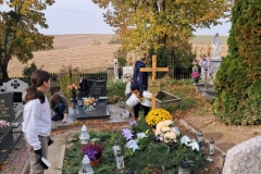 0de3d5de-be43-43b9-bd65-cfba7397be5f