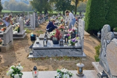 b15b0a43-a4c3-42dd-812f-6fb8df3f9585