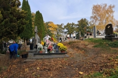 e94ddf98-990f-4024-949e-f50ca2bac28f