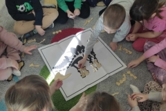 7366f2db-2141-46a1-9ad3-296fa769a845