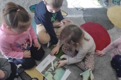 b2fd5a86-0184-4bb5-b231-1ef9a93a66a9