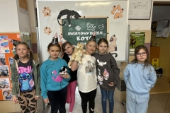 2b672dd6-19f5-4bd1-957f-6f676ced7e97