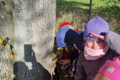 bac664a8-b530-42ec-b28c-71ab0bb954a3