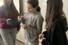 1bf2567f-54f4-415d-a5cc-a0ad3ca2449b