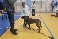 3d3ab38e-7ed7-4fc1-bb52-8351817650a2