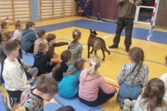 cdc0b8b7-ac44-4655-874f-102a3bd85d4a