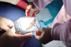 9efed3b3-c1d7-4d87-b69d-aff06df66365