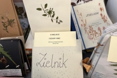 28b81bf8-0808-4c82-92aa-e892df65c063