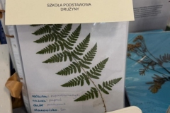 8c68259f-67fa-4111-844d-e59dc0cc1332