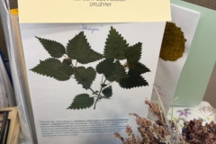 d122c1d2-6f0b-4cd6-a2a8-9039441f1285